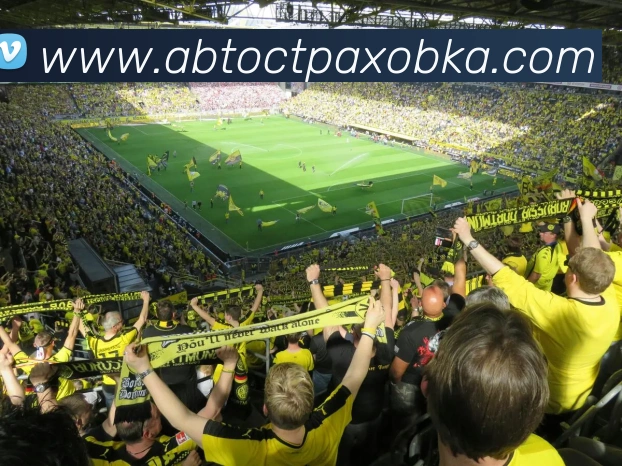 奖项证书